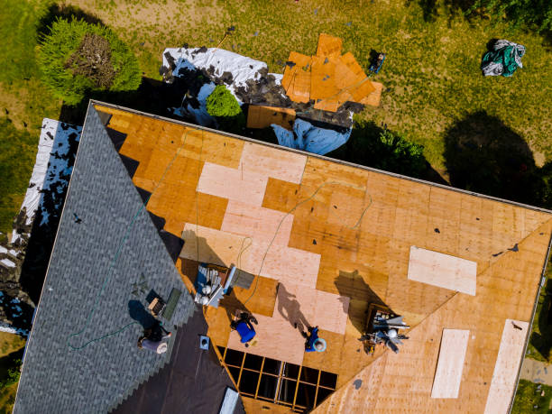 Quick and Trustworthy Emergency Roof Repair Services in Fort Myers Shores, FL